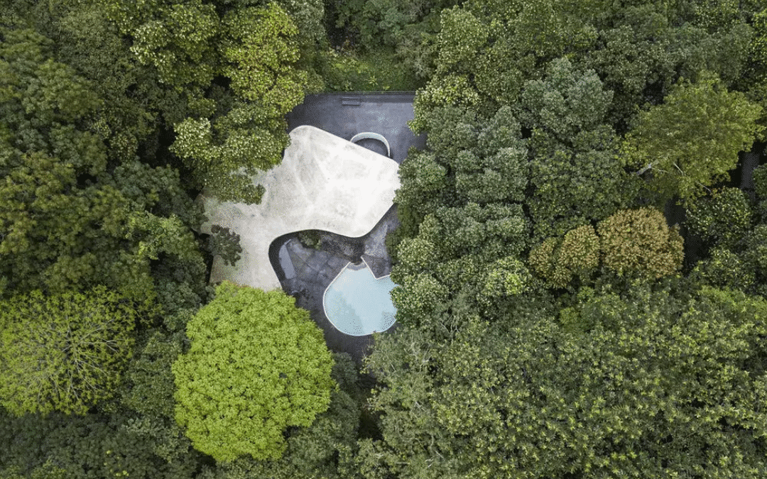 Casa das Canoas: A genialidade de Niemeyer integrada à natureza