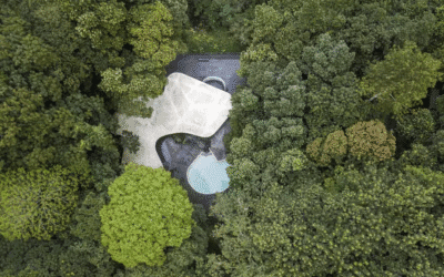 Casa das Canoas: A genialidade de Niemeyer integrada à natureza